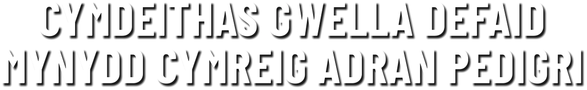 CYMDEITHAS GWELLA DEFAID MYNYDD CYMREIG ADRAN PEDIGRI